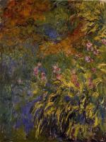 Monet, Claude Oscar - Irises